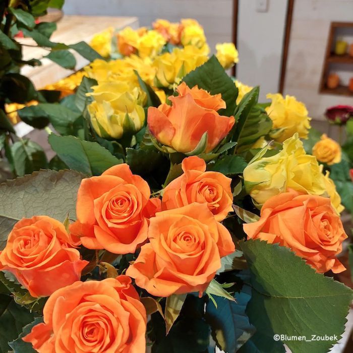 Edelrosen in den Farben Orange und Gelb