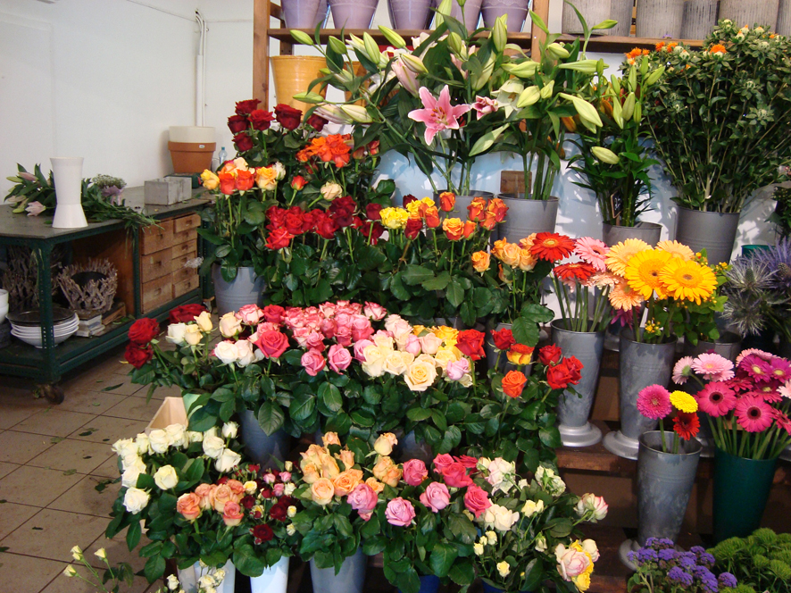  Bunte Rosen, Gerbera und Lilien bei Blumen Zoubek in Tulln