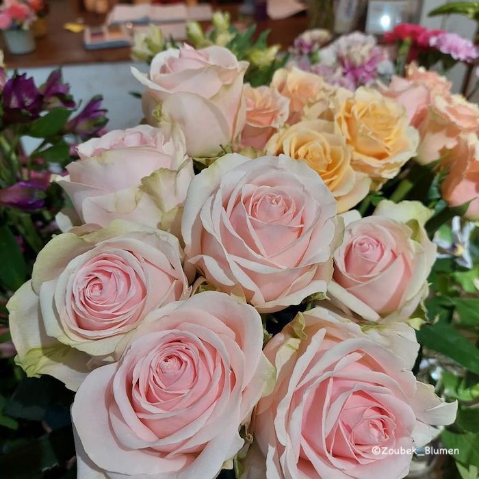 ein Strauß zartrosa Rosen bei Zoubek in Tulln