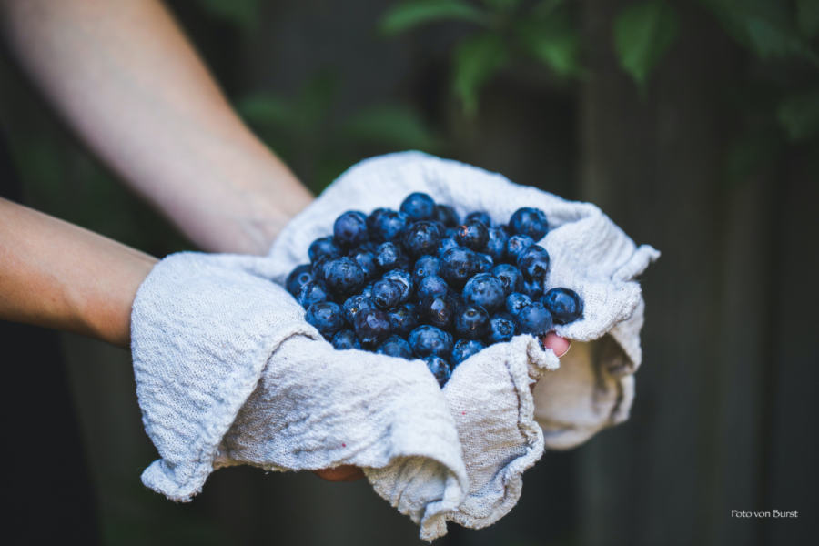 Heidelbeeren