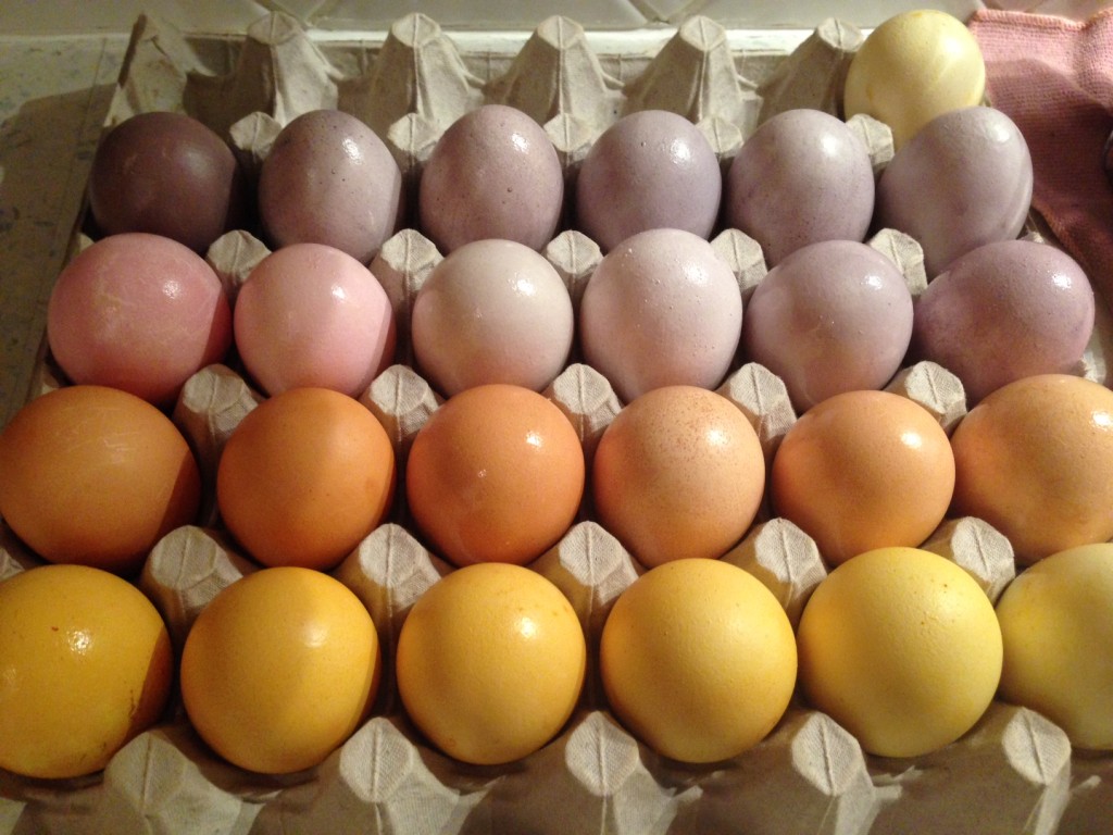 Ostern kann kommen
