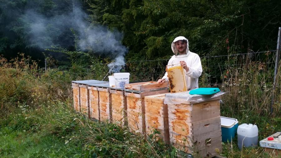 Der Imker bei der Arbeit am Bienenstock