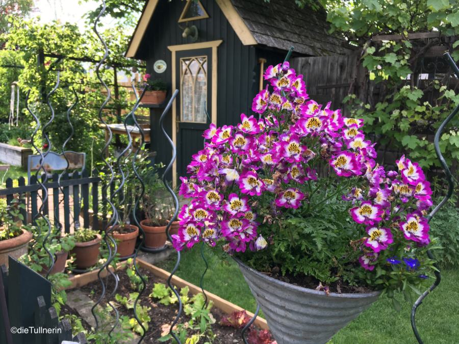 Knusperhäuschen im Schaugarten Rainbowsend