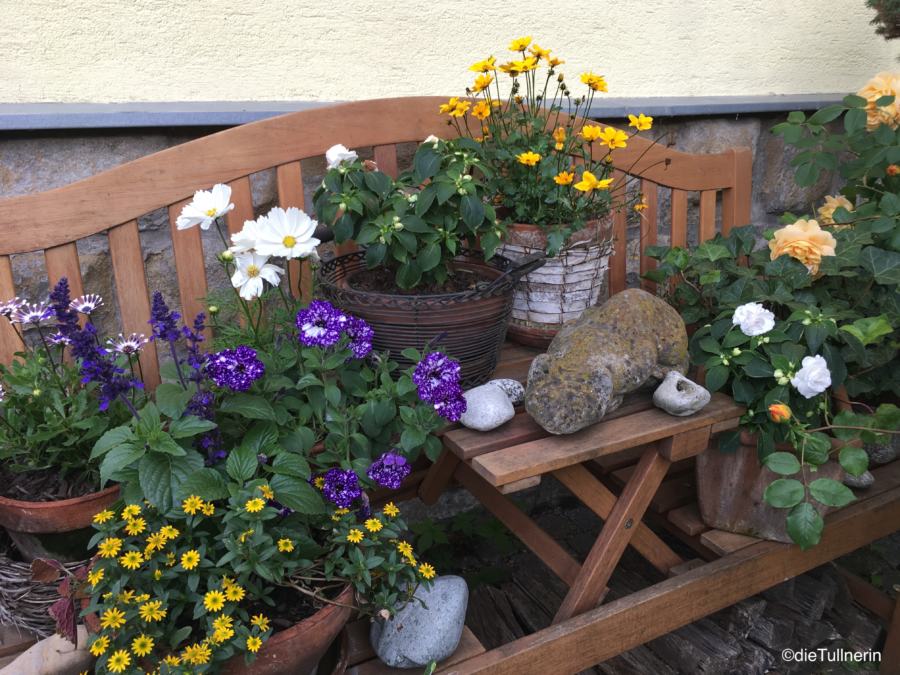 Gartenbank mit hübsch angeordneten  Sommerblumen in Töpfen
