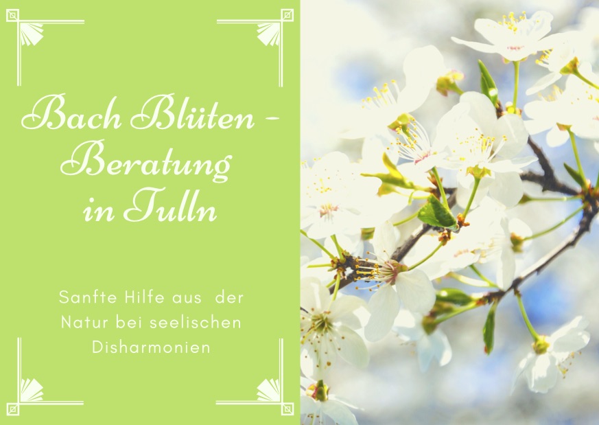 Bach Blüten-Beratung | Werbung