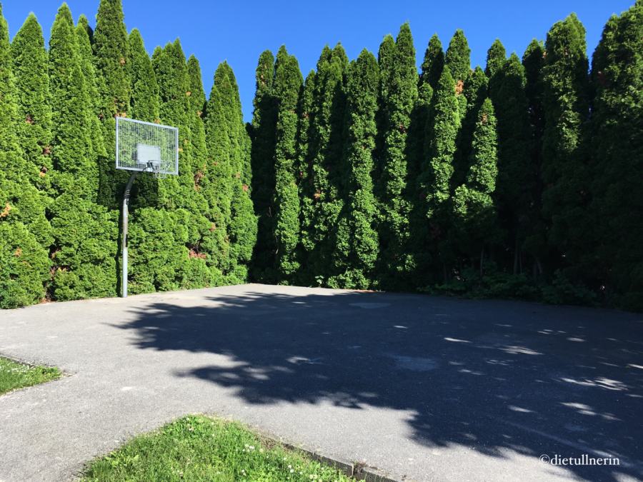 Basket-Ball-Platz, umringt von einer riesigen Thujen-Hecke
