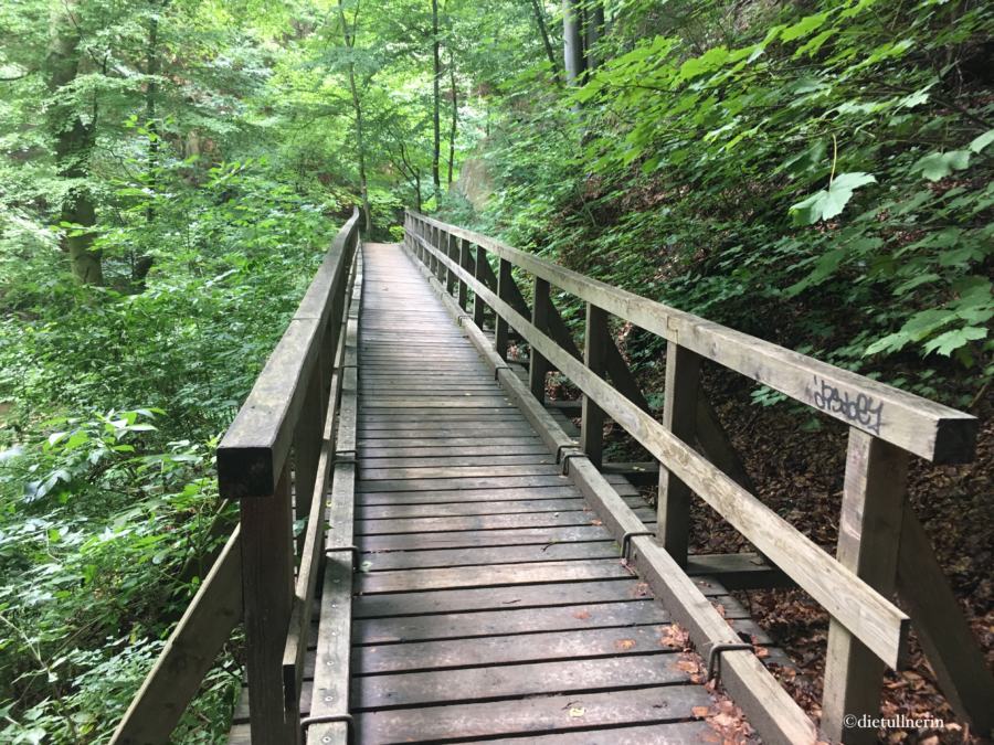 Eine der vielen Holzbrücken in der Hagenbachklamm