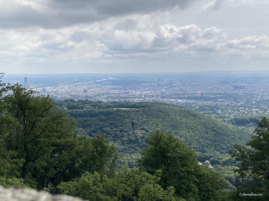 Blick vom Aussichtsturm Habsburgwarte auf Wien im Hintergrund. Vorne Baumspitzen und Hügel des Wienerwaldes