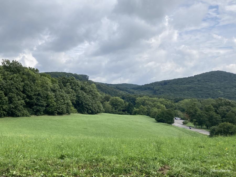 Blick über Wiese und Wienerwald ringsum bei bewölktem Himmel