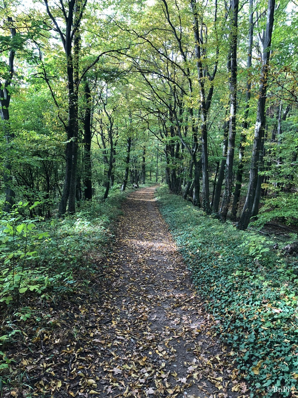 Der Weg ist das Ziel