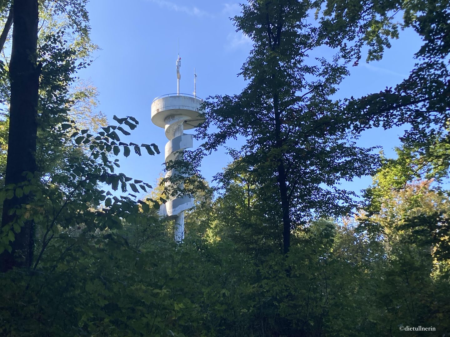 Ein Blick auf die Leopold-Figl-Warte am Tulbinger Kogel im Wiener Wald