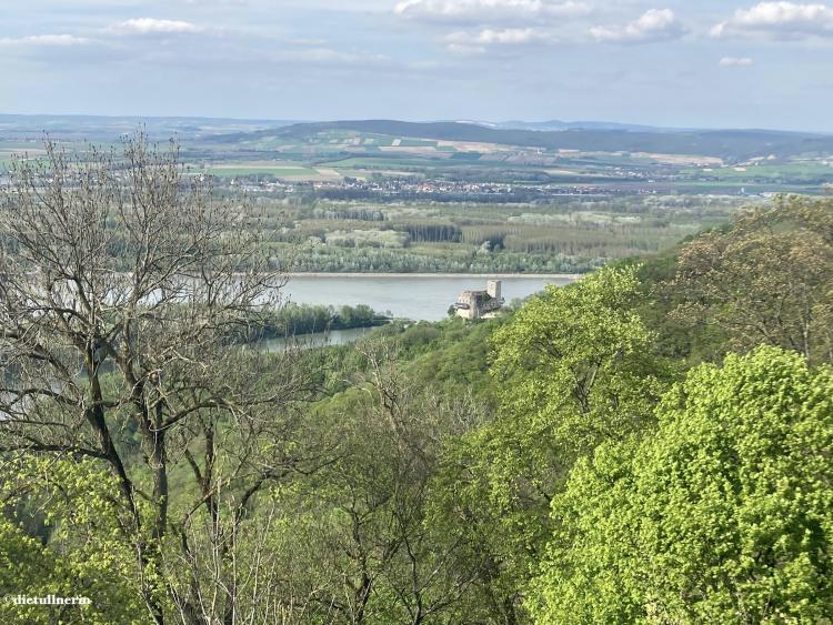 Ausblick von der Aussichtswarte am Tempelberg auf die Ruine Greifenstein und den Donau-Altarm bei Greifenstein 