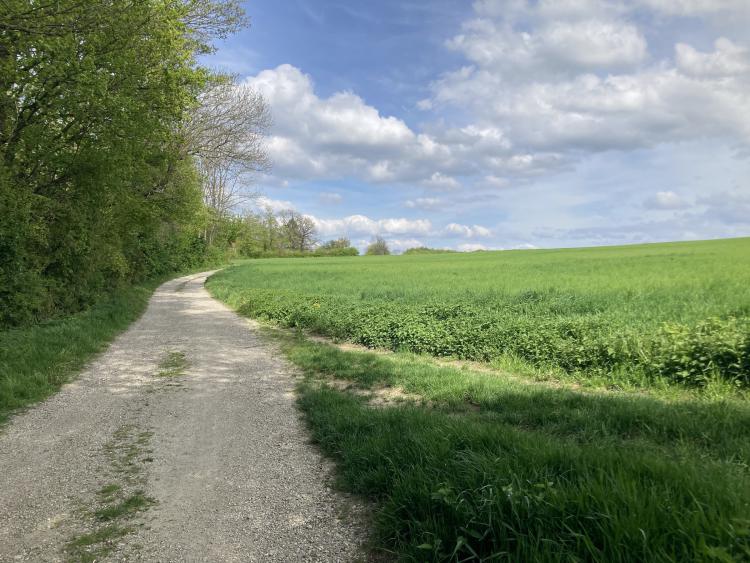 Wanderweg zur Tempelbergwarte in Hadersfeld zwischen Wald und Feld